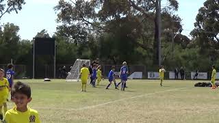 20241109 Monash Villareal Blue vs Langwarrin Blue U8W 44 Second Half [upl. by Hallutama70]