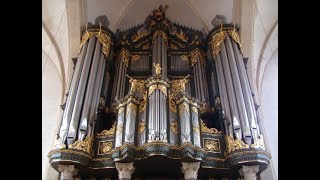 Sietze de Vries Demonstration Schnitger Organ Martinikerk Groningen NL [upl. by Eseilanna]