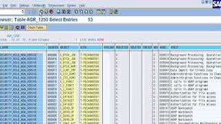 SE16 tcode in SAP [upl. by Abas]