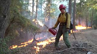 Good Fire Prescribed Burning [upl. by Irme]