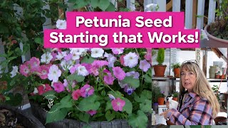 Petunia Seed Starting that Works [upl. by Eecak]