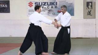 AikidoBruno Gonzalez  Budapest 02 2012 [upl. by Noble]