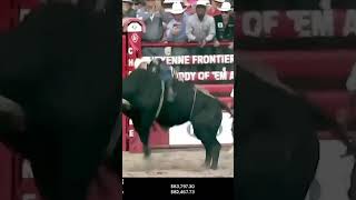 2024 Cheyenne Frontier Days Ky Hamilton vs Dakota Rodeos Regular Joe [upl. by Lili]