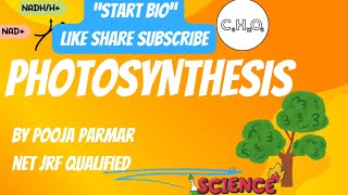 Photosynthesis In Higher Plants  Non Cyclic Photophosphorylation  Cyclic Photophosphorylation [upl. by Roy]