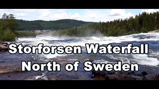 Storforsen Waterfall «Жемчужина севера Швеции» Водопад с бурными порогами [upl. by Maeve802]