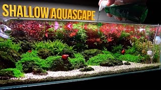 SHALLOW Aquascape  A HIGH TECH NANO AQUARIUM [upl. by Washko]