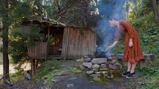 Inside a 100YearOld Mountain Hut Campfire Cooking in the Wilderness [upl. by Ydnis]