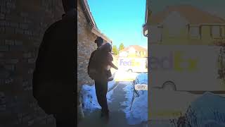 how to be friendly with dogsdoorbell doorbellcam interesting [upl. by Oicor]