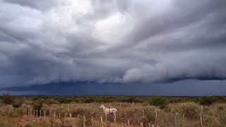 CHUVA NO NORDESTE  Choveu no Sertão Previsão boa de chuva para o ano de 2024 e 2025Chuva na Bahia [upl. by Warram]