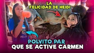 Tuvimos que darle polvo mágico a Lipe para que se activé  Heidi goza tocandole los cojones al toro [upl. by Truelove35]