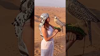 Desert Safari Dubai 🦅🦅falcon desertsafari travel deserttour foryou dubai viralshort views [upl. by Aggi617]