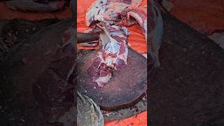 Real red ox thigh meat amp bone cutting skill by expert butcher in bd meat shop [upl. by Nahbois675]