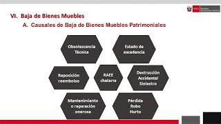 Conferencia Procedimientos para realizar la baja y alta de bienes muebles patrimoniales [upl. by Bazar]