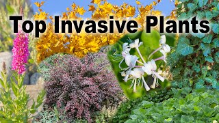 Invasive Plants – Family Plot [upl. by Avigdor]