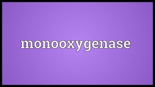 Monooxygenase Meaning [upl. by Nyhagen]