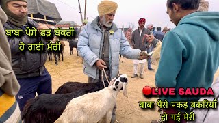 बाबा पैसे पकड़ बकरियाँ हो गई मेरी livesauda farmingbaba tungwali bakri bazar Goat farming market [upl. by Zsa Zsa227]