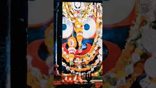 Mangala Arati Darsana 🪔✨ Lord Jagannath Temple Puri Dt 100324 puri puridham lordjagannath [upl. by Halik]