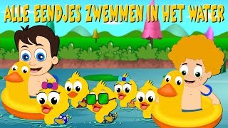 Alle eendjes zwemmen in het water  Kinderliedjes van vroeger [upl. by Dorina253]