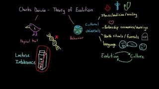 Introduction to Sociology Evolution and human culture [upl. by Jsandye379]