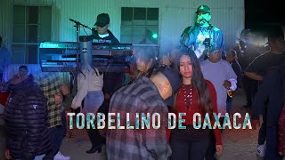 ASI SE PONE EL AMBIENTE CON TORBELLINO DE OAXACA [upl. by Kerman398]