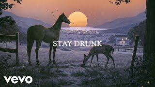 Old Dominion  Stay Drunk Official Lyric Video [upl. by Maurilia361]