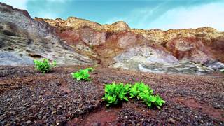 La Gomera  The energy awaiting you [upl. by Pierre]