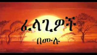 Ethiopian Music Video zefen [upl. by Tearle840]