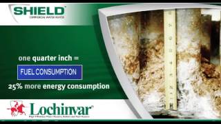 Lochinvar SHIELD® Commercial Water Heater [upl. by Goddard435]