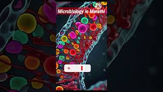 Plasmid  Microbiology in 1 Min [upl. by Ahsatin]