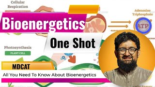 Bioenergetics  One Shot Video [upl. by Chapell]