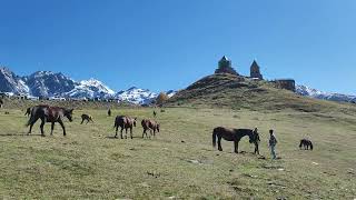 Kazbegi Georgia [upl. by Ailemac]