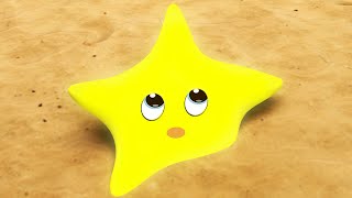 Twinkle Twinkle Little Star LetsgoMartin and more Nursery Rhymes kid song [upl. by Nagy459]