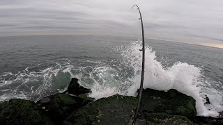 2024 November NJ Surf Fishing The Striper Blitz [upl. by Esinev189]