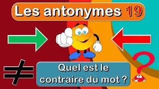 Quel est le Contraire des Mots  Jeux de français  les antonymes [upl. by Mchale]