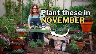 NOVEMBER PLANTING GUIDE Top Veggies Flowers and Herbs for Your Fall Garden [upl. by Celle]