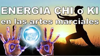 Energía Chi o Ki  la técnica de la camisa de hierro del kung fu shaolin  tai chi chi kung [upl. by German]