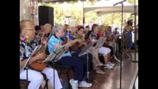 CC STRUMMERS PLAY UKULELE AND SING quotGHOST RIDERS IN THE SKYquot [upl. by Hotchkiss560]