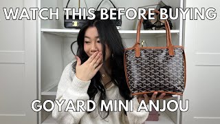 EVERYTHING YOU NEED TO KNOW BEFORE BUYING THE GOYARD MINI ANJOU EU PRICING WHAT FITS PROSCONS [upl. by Adneram]