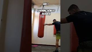 DAY 1 Learning how to kickboxing   Beginner [upl. by Airot22]