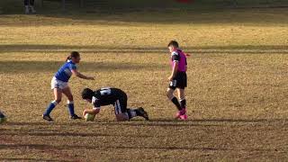 Picton vs Narellan Under 10 Gold Rd 11 2023  1st half [upl. by Archaimbaud]