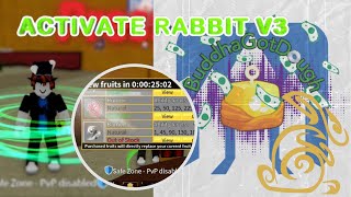 Activate Rabbit V3 and Is Kitsune in Stock [upl. by Lerual39]