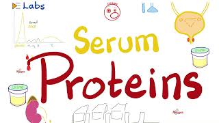 Albumin amp Globulins Alpha Beta amp Gamma  Plasma Proteins and Electrophoresis  Labs [upl. by Ibbor]