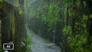 Heavy Rain Flooding the Streets  Satisfying Rain Visuals for Sleep and Meditation  Beats Insomnia [upl. by Frasquito]