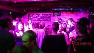 Mollys Chamber  Live  Molly Blooms London ON 031916  Toronto Party Band [upl. by Boiney754]