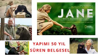 Jane Goodall Türkçe National geographic şempanzeler [upl. by Arley]