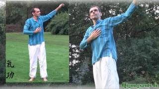 qigong et gestion du stress [upl. by Naujled]