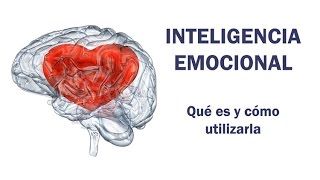 Inteligencia Emocional qué es y cómo utilizarla [upl. by Weisburgh674]