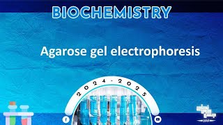 Pract 9 PCR and detection of amplified DNA agarose gel electrophoresis biochemistry [upl. by Eicyal]