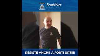 SharkNet Bomber  Resistenza Zanzariere SharkNet  Daniele Denti [upl. by Einnoc]