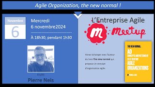 Modèle AO Agile Organizations de Pierre Neis  Meetup Entreprise agile novembre 2024 [upl. by Bald]